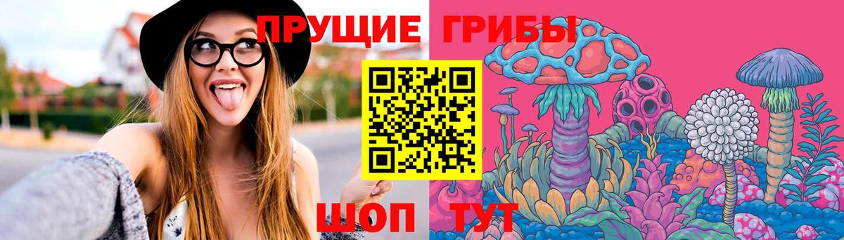Псилоцибиновые грибы Psilocybe  Галлюциногенные грибы MAGIC MUSHROOMS  Вход с VPN  купить закладку  Батайск 